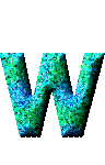 Immagine lettera W 