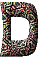 Immagine lettera D 