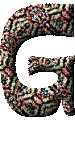 Immagine lettera G 