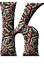 Immagine lettera K 