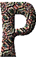 Immagine lettera P 