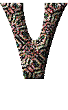 Immagine lettera V 