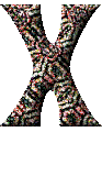 Immagine lettera X 