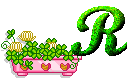 Immagine lettera R 