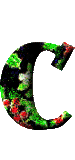Immagine lettera C 