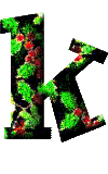 Immagine lettera K 