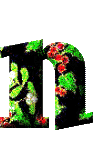 Immagine lettera N 