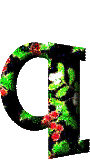 Immagine lettera Q 