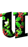 Immagine lettera U 