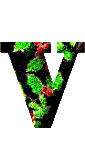 Immagine lettera V 