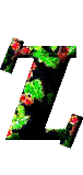 Immagine lettera Z 