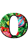 Immagine lettera O 