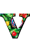 Immagine lettera V 