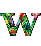Immagine lettera W 