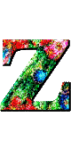 Immagine lettera Z 