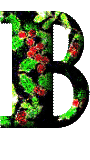 Immagine lettera B 