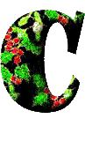 Immagine lettera C 
