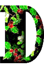 Immagine lettera D 