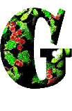 Immagine lettera G 