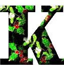 Immagine lettera K 