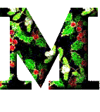 Immagine lettera M 