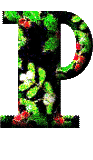 Immagine lettera P 