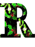 Immagine lettera R 