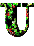 Immagine lettera U 