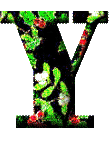 Immagine lettera Y 