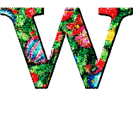 Immagine lettera W 