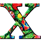 Immagine lettera X 