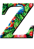 Immagine lettera Z 