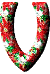 Immagine lettera V 