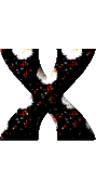 Immagine lettera X 