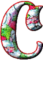 Immagine lettera C 