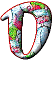 Immagine lettera D 