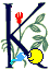 Immagine lettera K 