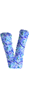 Immagine lettera V 