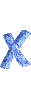 Immagine lettera X 