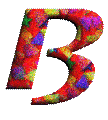 Immagine lettera B 