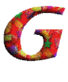 Immagine lettera G 