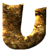 Immagine lettera U 