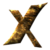 Immagine lettera X 