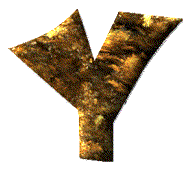 Immagine lettera Y 