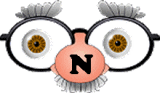 Immagine lettera N 