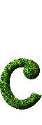 Immagine lettera C 