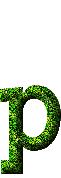Immagine lettera P 