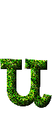 Immagine lettera U 