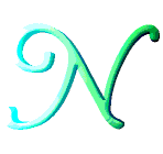 Immagine lettera N 