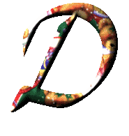 Lettera D